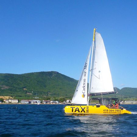 Est Eco-Cabines Nouvelle Exterior foto